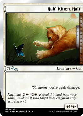 Half-Kitten, Half- (Unstable) Light Play