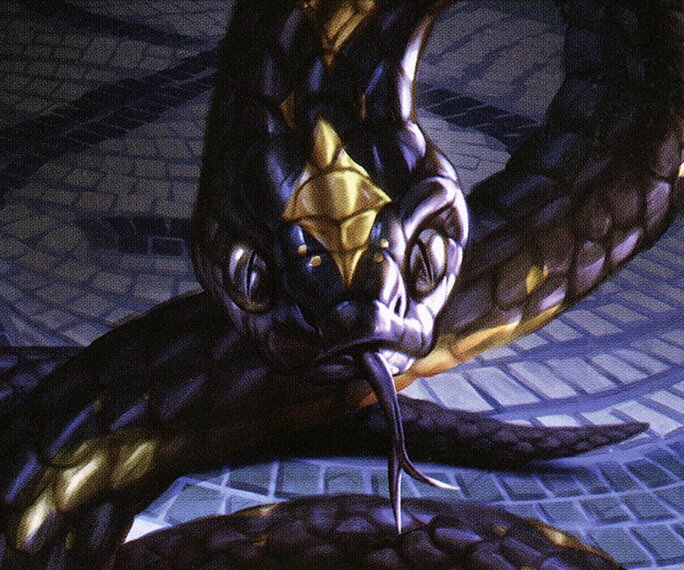 Commander Collection: Black — art from Snake // Zombie