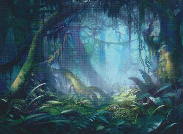 Zendikar — art from Misty Rainforest