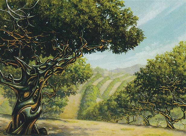 Conflux — art from Exotic Orchard