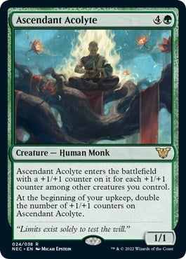 Ascendant Acolyte (Commander: Kamigawa: Neon Dynasty) Light Play