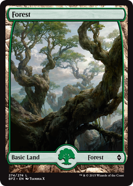 Forest (274) (Full Art) (Battle for Zendikar) Light Play