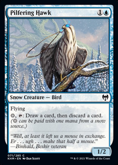 Pilfering Hawk (Kaldheim) Light Play Foil