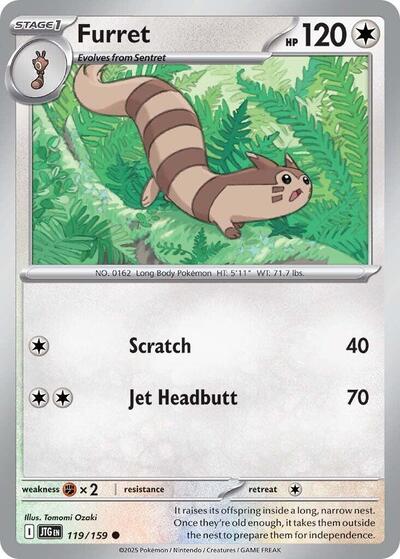 Furret - 119 (SV09: Journey Together) Near Mint Reverse Holofoil