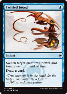 Twisted Image (Masters 25) Light Play