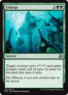 Enlarge (Iconic Masters) Light Play Foil