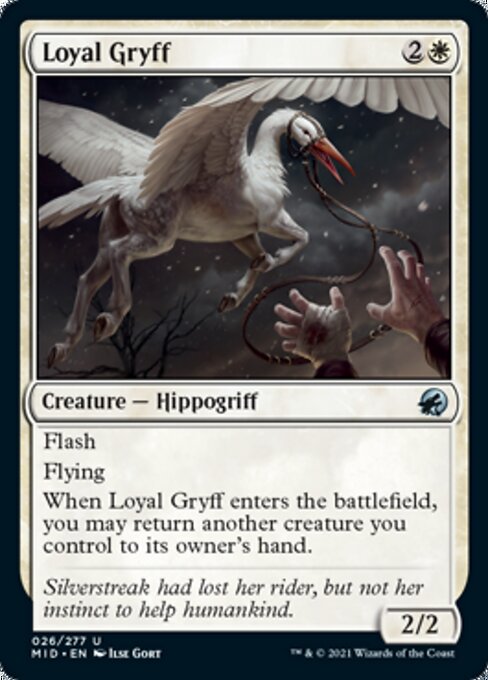 Loyal Gryff (Innistrad: Midnight Hunt) Light Play Foil