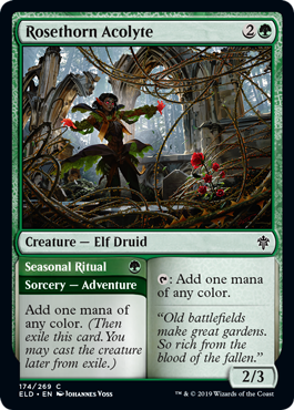 Rosethorn Acolyte (Throne of Eldraine) Light Play