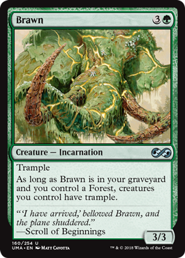 Brawn (Ultimate Masters) Light Play