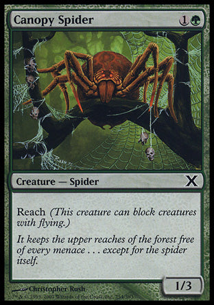 Canopy Spider (10th Edition) Light Play