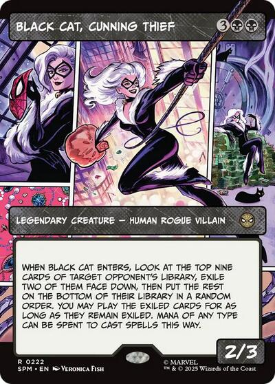 Black Cat, Cunning Thief (Borderless) (Marvel's Spider-Man) Near Mint