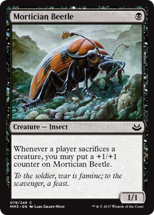 Mortician Beetle (Modern Masters 2017) Light Play