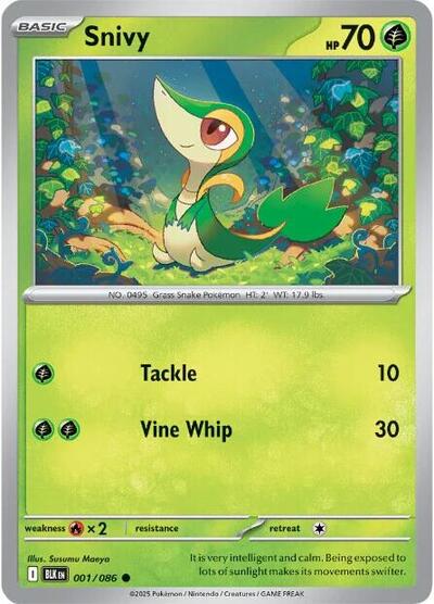 Snivy (SV: Black Bolt) Near Mint