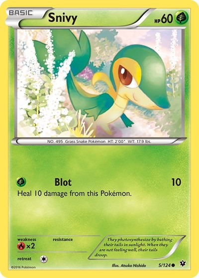Snivy (XY - Fates Collide) Near Mint