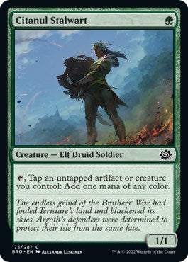 Citanul Stalwart (The Brothers' War) Near Mint Foil