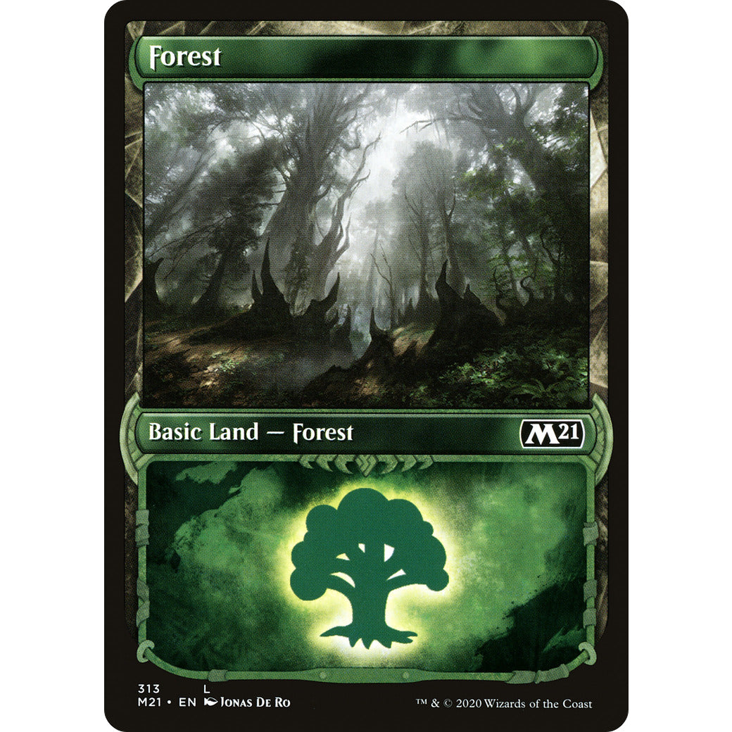 Forest (313) (Showcase) (Magic 2021 Core Set) Near Mint Foil