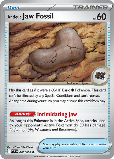 Antique Jaw Fossil (ME03: Perfect Order) Near Mint