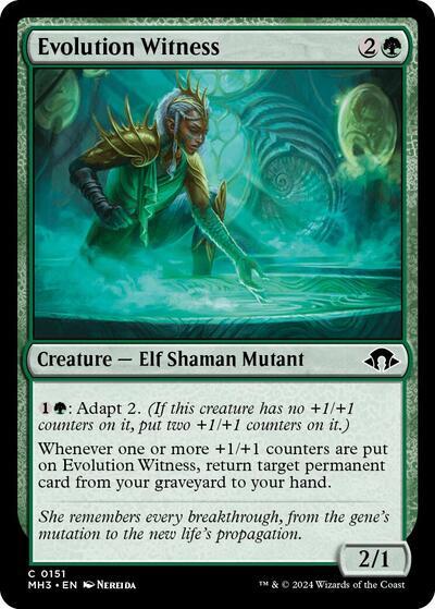 Evolution Witness (Modern Horizons 3) Light Play Foil