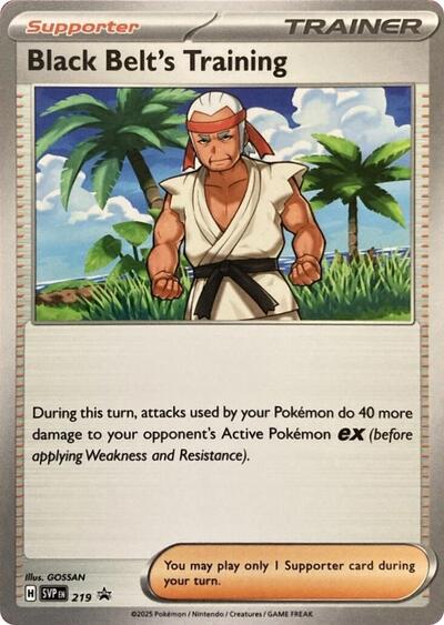 Black Belt's Training - 219 (SV: Scarlet & Violet Promo Cards) Near Mint