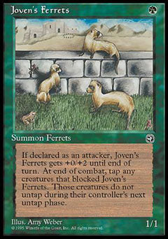 Joven's Ferrets (Homelands) Light Play